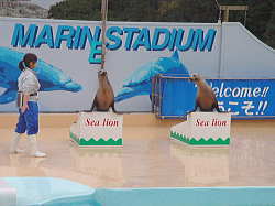 Shimoda Aquarium