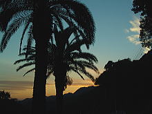 QOOTNPPQR@lC݂̃tFjbNX̖